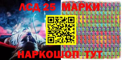 шишки Новодвинск