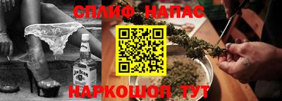 шишки Новодвинск
