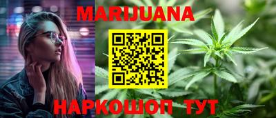 шишки Новодвинск