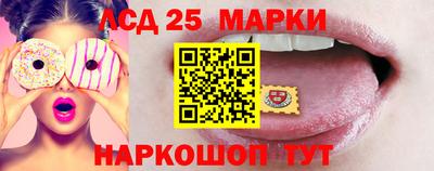 шишки Новодвинск