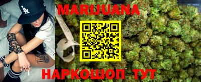 шишки Новодвинск