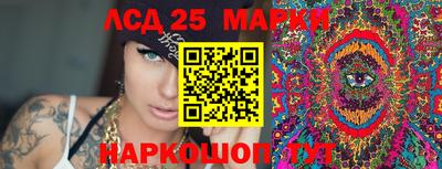 шишки Новодвинск